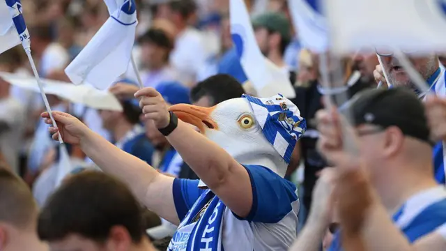 A Brighton supporter dressed as a Seagull