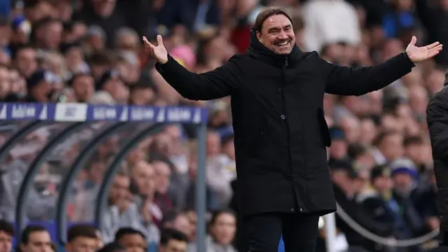 Daniel Farke smiling with hands open wide