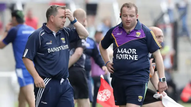 Davy Fitzgerald and Seoirse Bulfin
