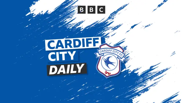 Cardiff City Daily artwork