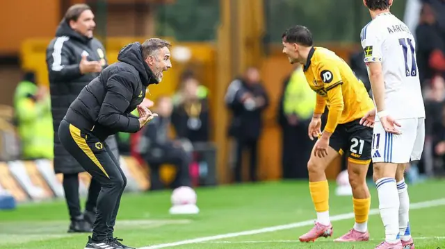 Vitor Pereira screams instruction at a Wolves player