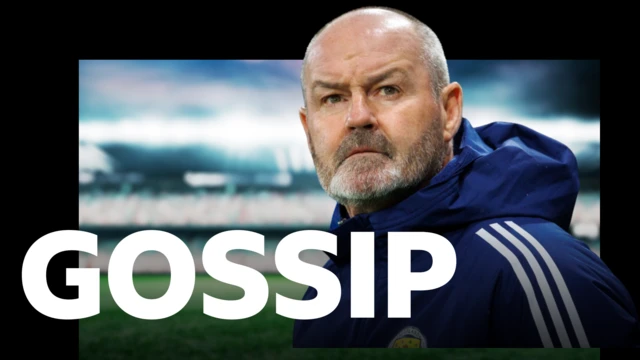 Scotland manager Steve Clark