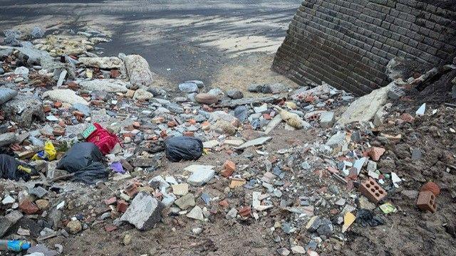 Bags of litter and rubble scatter sand on a beach. Seals can be seen amongst the rubbish.