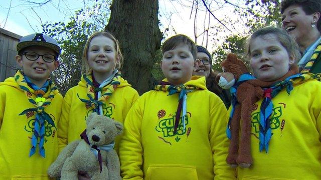 Cubs celebrating their centenary