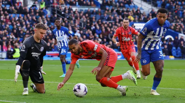 Brighton & Hove Albion's Bart Verbruggen in action with Everton's Dominic Calvert-Lewin