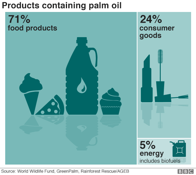 Infographic palm oil in products