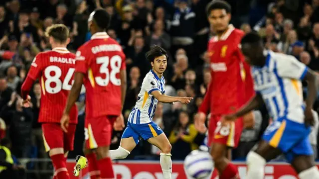 Brighton celebrate a goal