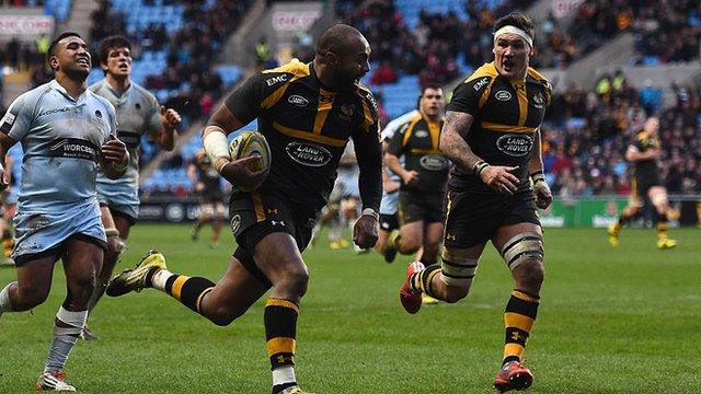 Wasps celebrate