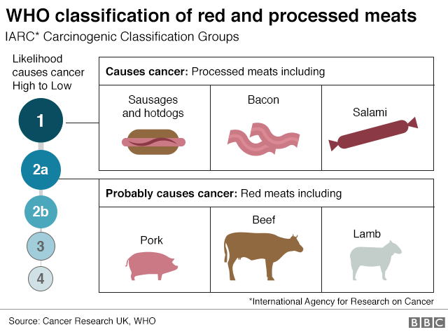 Graphic: Classification of red & processed meat products