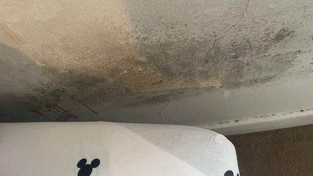 Mould in home