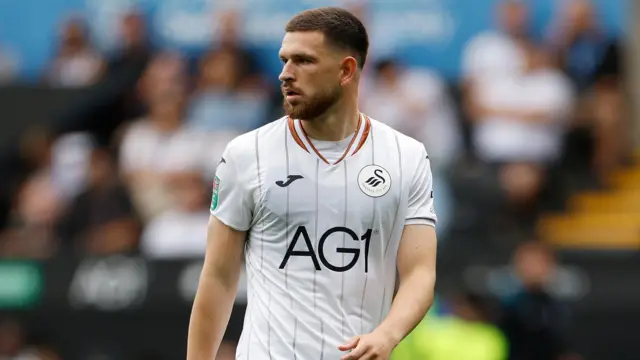 Swansea City striker Zan Vipotnik