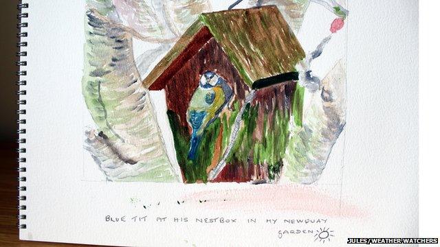 A water colour of a blue tit in a bird house