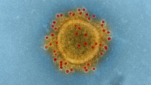 Middle East Respiratory Syndrome Coronavirus particle