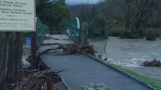 Uprooted trees in Keswick caught in bridge railings