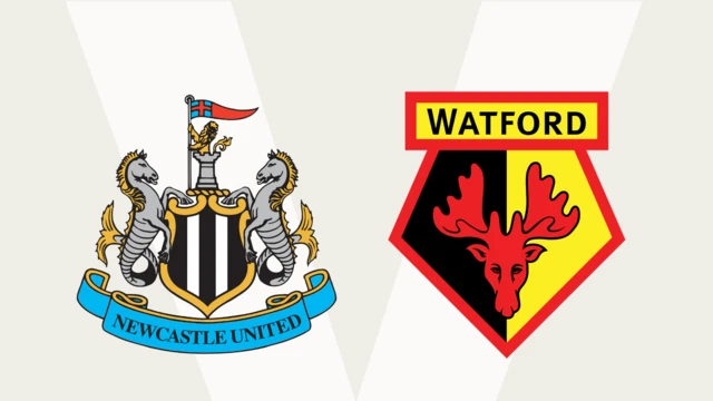 Newcastle v Watford graphic