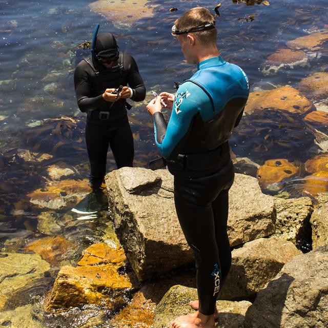 Preparing to dive