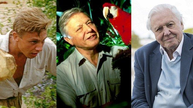 Sir David Attenborough turns 90 years old today.