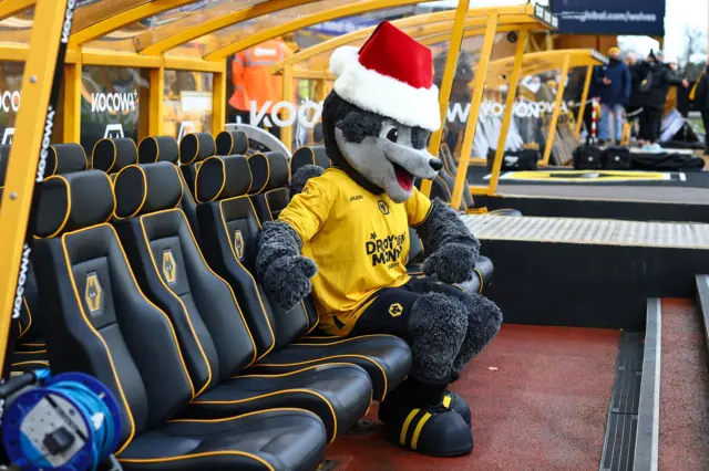 Wolves mascot Wolfie sitting in the dugout at Molineux wearing a Santa hat