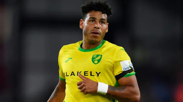 Onel Hernandez in action for Norwich