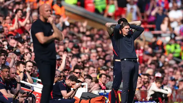 Crystal Palace boss Oliver Glasner reacts