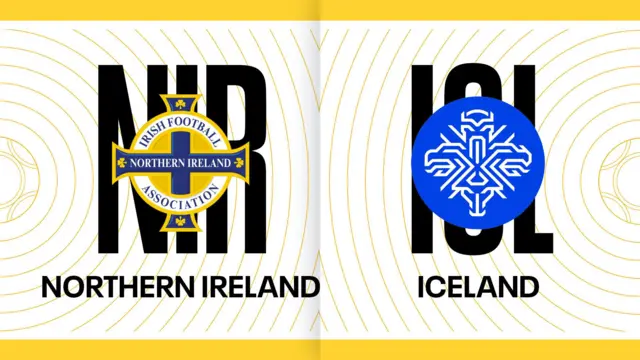 Northern Ireland v Iceland