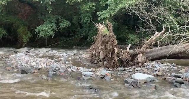 River Aber with a telephone line seen emerging from the tree line behind the river, and in the foreground, a fallen tree which came down during the flooding