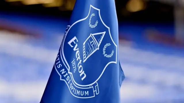 General view of Everton badge on flag