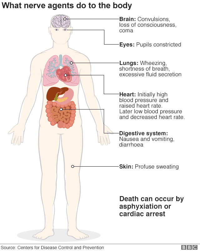 What nerve agents do to the body