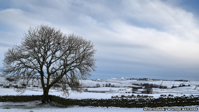 Snow covered fields and tree