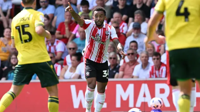 Southampton defender Welington