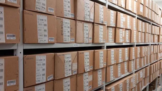 Shelves full of labelled cardboard boxes