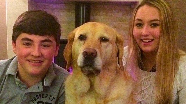 A teeanage boy, a labrador dog and a young blonde haired woman pose for a family snapshot