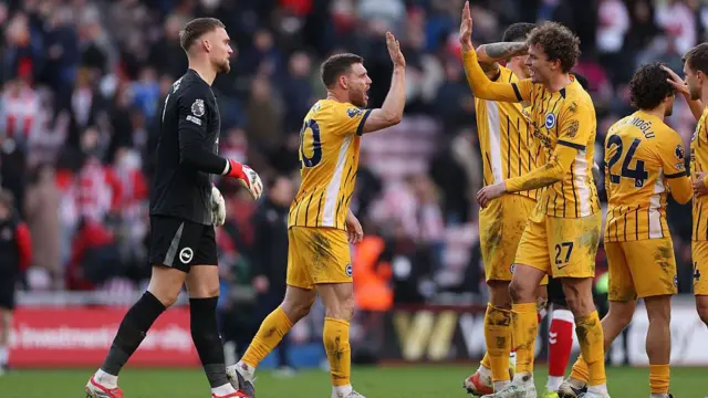 James Milner celebrates with team-mate Mats Wieffer