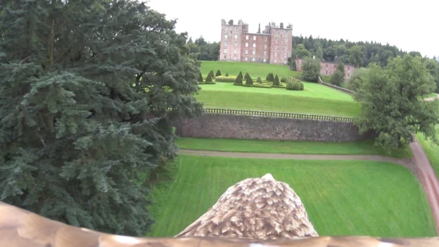 Bird's eye view of Galloway Country Fair