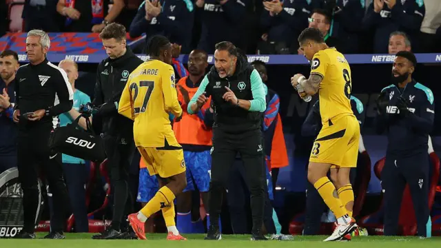 Wolves manager Vitor Pereira gives instructions from the sidelines