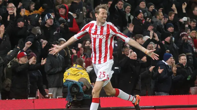 Stoke City's Peter Crouch celebrates his goal against Watford