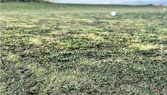 Chambers Bay