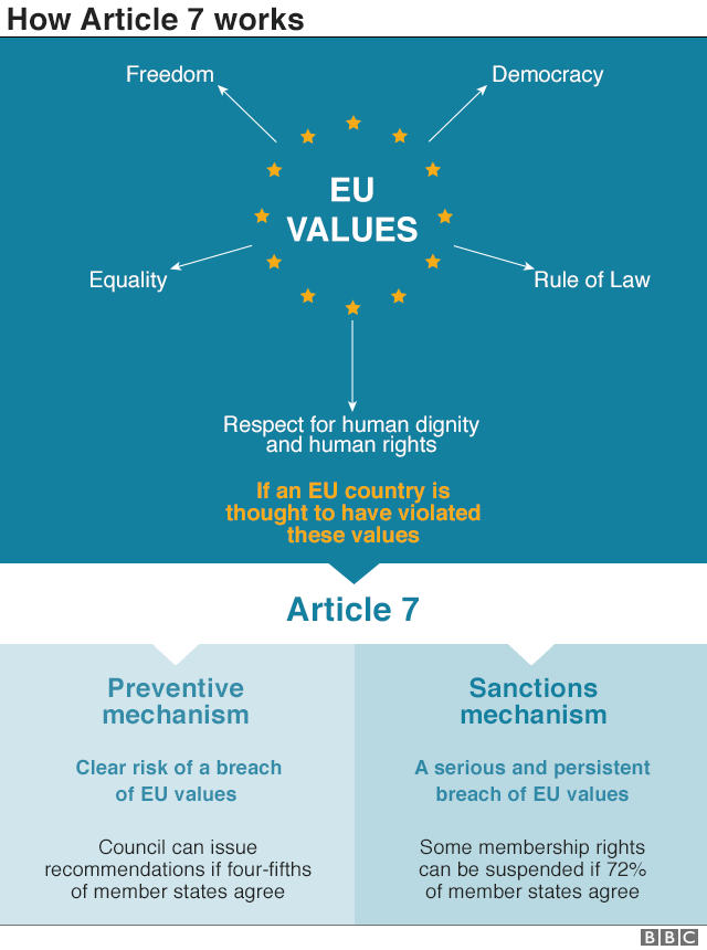 Graphic on Article 7