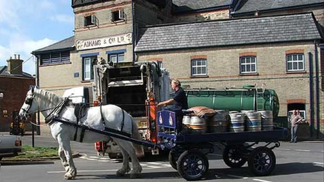 Adnams brewery and drayhorse