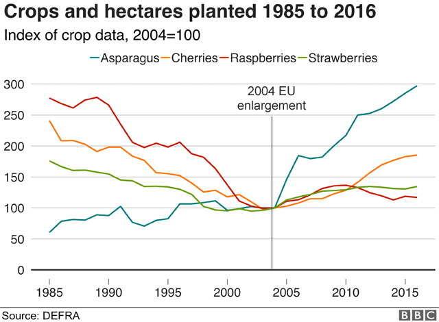 graph: hectare of different crops planted 1985-2016