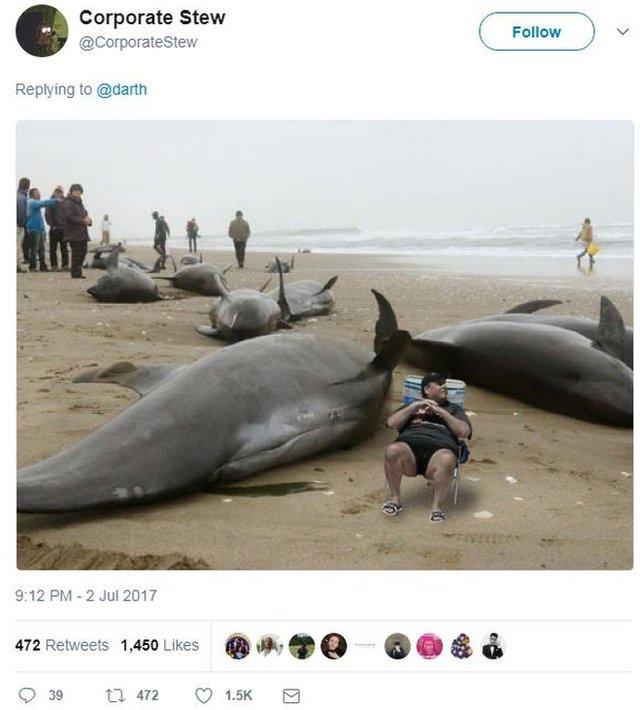 A picture of Chris Christie in a deckchair surrounded by beached whales