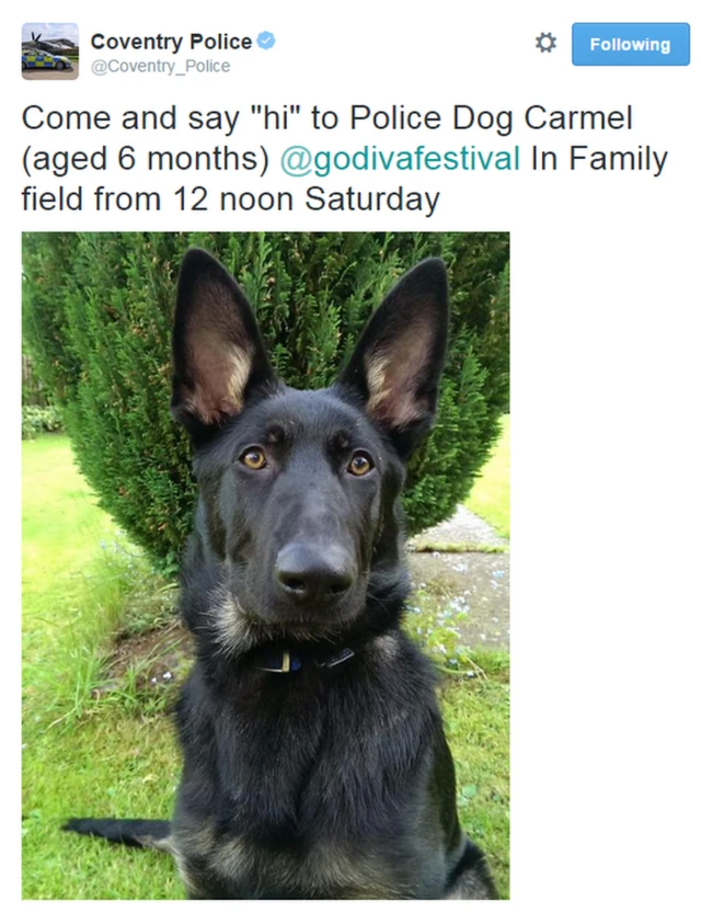 West Midlands Police tweet & picture of police dog