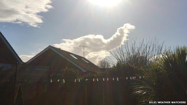 Photograph taken from a garden with an elephant shaped cloud in the sky