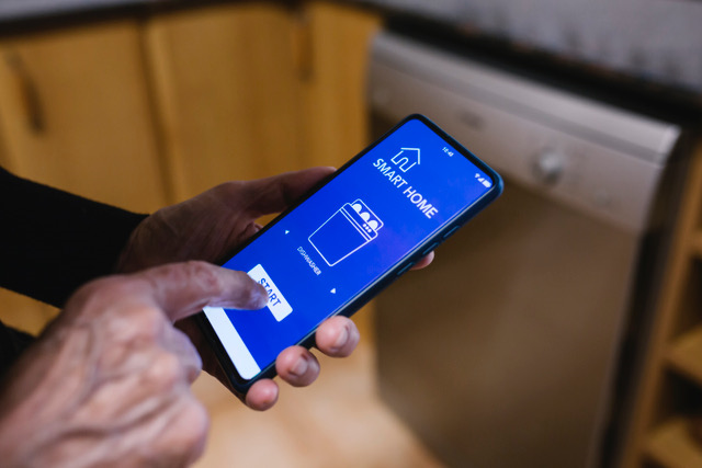 A person with a smart home app