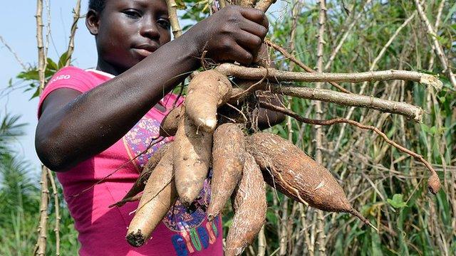 Woman holding cassava