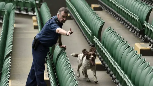 Wimbledon dog search