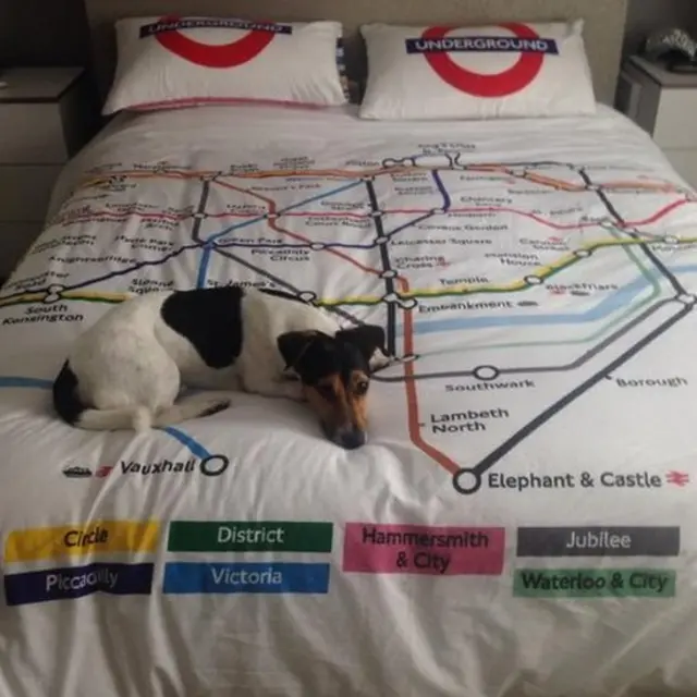 Dog on Tube network map duvet