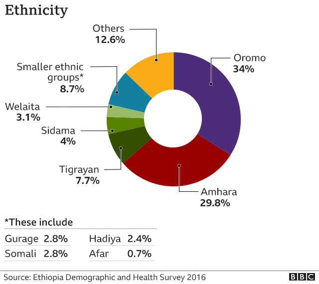 Pi chart showing ethnic make-up