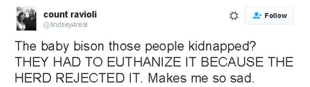 Tweet reads: The baby bison those people kidnapped? THEY HAD TO EUTHANIZE IT BECAUSE THE HERD REJECTED IT. Makes me so sad.