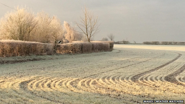 Frosty field